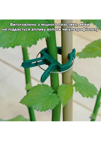 Клипсы-фиксаторы садовые большие для подвязки и фиксации растений и томатов 6х5см 20шт No Brand (370287174)