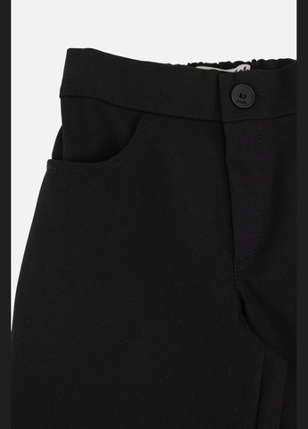 Черные демисезонные брюки Yuki