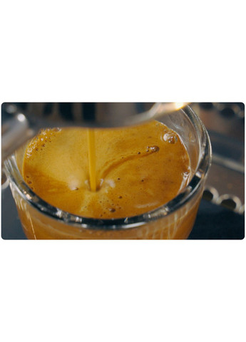 Кофе в зернах Папуа Новая Гвинея - Арабика зерновая 100% моносорт Papua New Guinea 1кг - средняя свежая обжарка ERKIS (307359830)