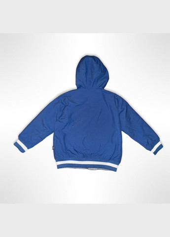 Сіро-синя демісезонна вітровка Quadri foglio