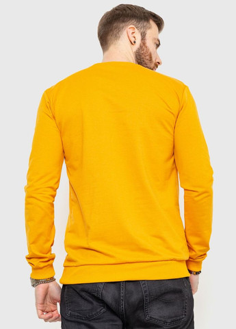 Свитшот мужской демисезонный,, 208R0204 Ager (315789165)