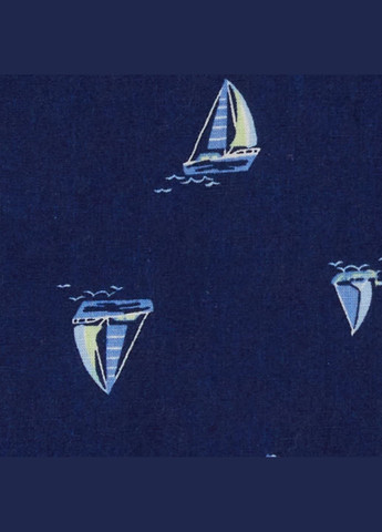 Сорочка для хлопчика 105-112 см (2Q518210_5T) Carter's (304023965)