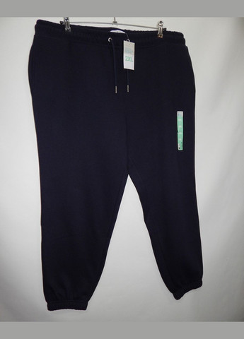 Штани спортивні чоловічі теплі Cares р.5052 008SPBMS Primark (315360034)