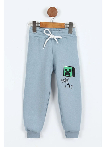 Спортивный костюм утепленный Minecraft TRW0812251 Disney Спортивний костюм (370215965)