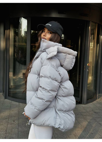 Сірий демісезонний Пуховик Style Point
