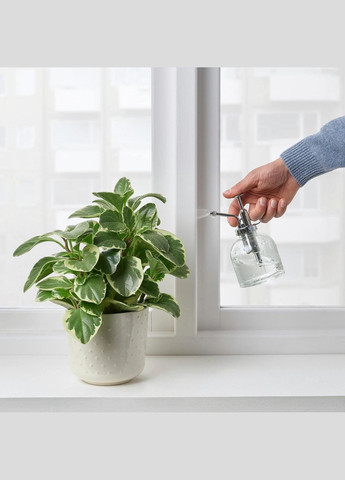 Розпилювач для рослин ІКЕА SESAMFRON 25 кл прозоре скло (20488189) IKEA (267902771)