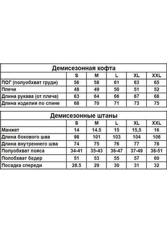 Чоловічий демісезонний спортивний костюм чорний худі + штани (двонитка) No Brand (370022040)