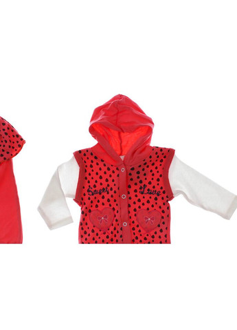 Красный демисезонный костюм с длинным рукавом для девочки трикотажный love красный 68 см (33799) BABYKROHA