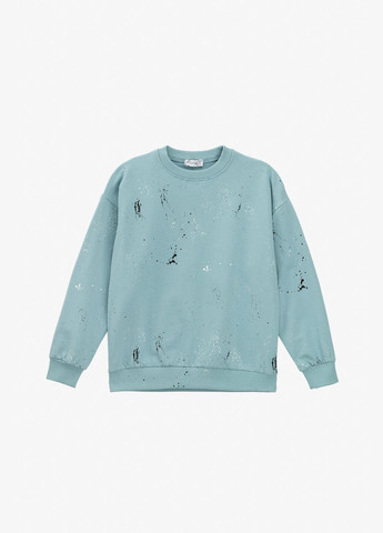 First Kids світшот з принтом для хлопчика 0068 146 см shop (2000990882226) комбінований повсякденний бавовна