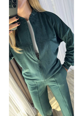 Костюм велюровый кофта и брюки прямого кроя Україна (351260579)