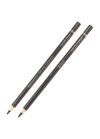 Олівець кольоровий "Color Expert" Toner Gray/Тонований сірий, 99CE-TG 99IDEAS (329144525)