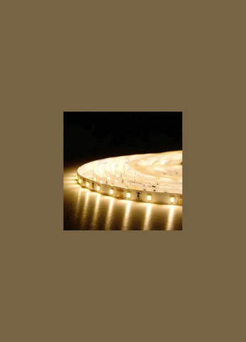 Світлодіодна стрічка Professional BPS-G3-12-2835-60-WW-20 теплий білий, негерметична BIOM (365290300)