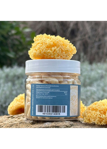Тремела (Tremella fuciformis), капсули по 120 шт 0.5 г Лісовик (334711139)