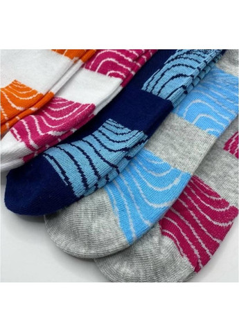 Серые набор женских носков Esmara (353493015)