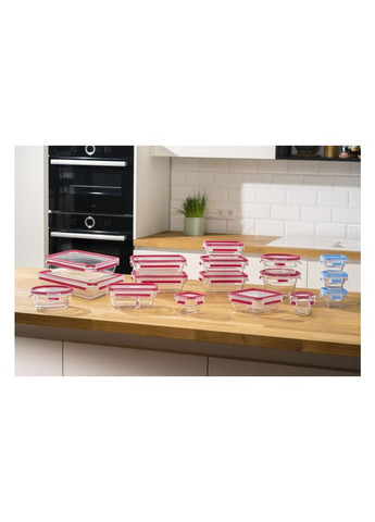 Пищевый контейнер Masterseal Glass Red 800 мл (N1041410) Tefal (315346322)