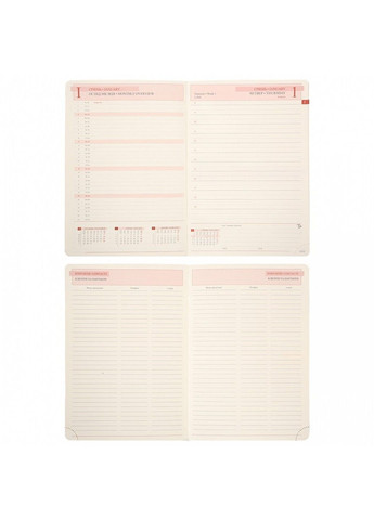 Ежедневник датированный 2026год А5 мягкий 368 страниц Polo .графитовый 252694 Leo Planner (364302779)