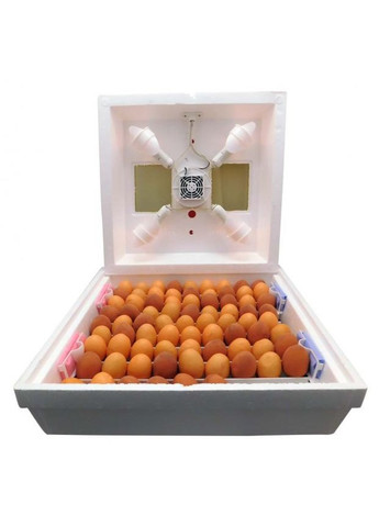 Инкубатор для яиц Квочка МИ-30-1-Е с терморегулятором, тип нагревателя- нагревательный шнур с механическим путем наклона Украина (278643204)