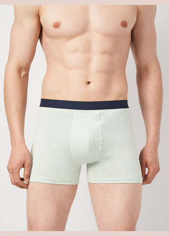 Трусы (3шт) Basic Collection (294973356)