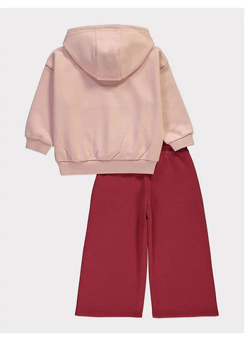 Розовый демисезонный костюм на флисе бренда цветок George