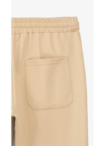 Спортивні штани чоловічі FK503 shop (2000999195136) Demos (351856523)