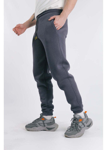 Спортивні штани Intruder (304772782)