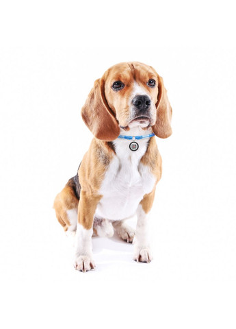 Шнурок для адресника из паракорда Smart ID Светоотражающий SD 4 мм Дл 25-45 см Синий WAUDOG (332879053)