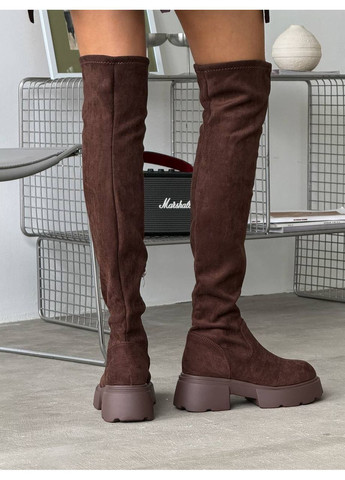 Темно-коричневые осенние стильные женские ботфорты No Brand