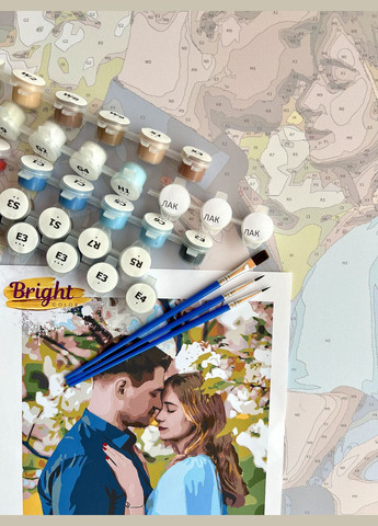 🎨 Картина за номерами по фото 50х70 см — Преміум No Brand (331155392)