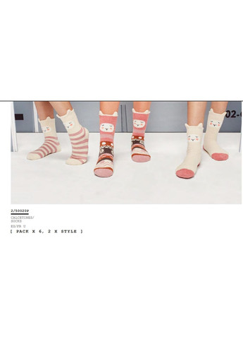 Шкарпетки жіночі 6 пар 250020 Gisela (278611424)