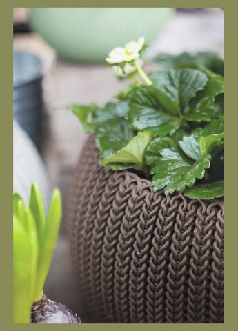 Підвісний горщик з кашпо для квітів 3,2 л. Cozies S з ланцюжком, коричневий Keter (329407697)