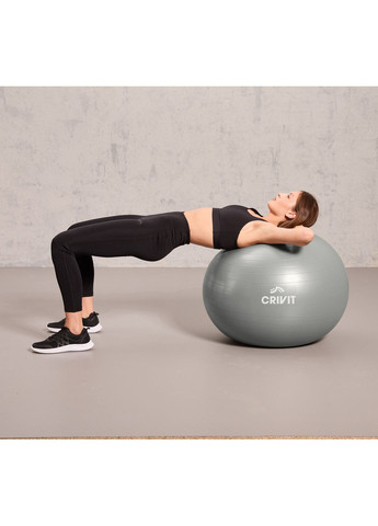 Мяч фитбольный для фитнеса Ø65 см серый Crivit (336038262)