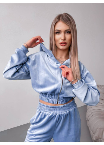 Велюровый костюм двойка со стильным кроем No Brand (366238459)