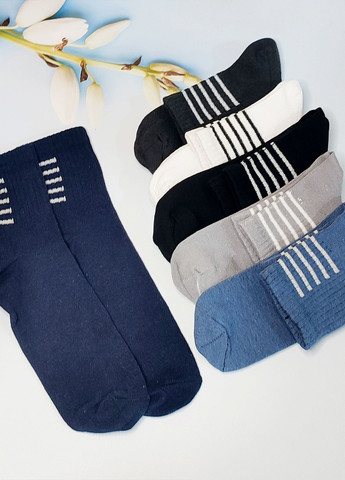 Шкарпетки дитячі бавоняні 6 пар Житомир DL 803/6 Lomani (345733268)