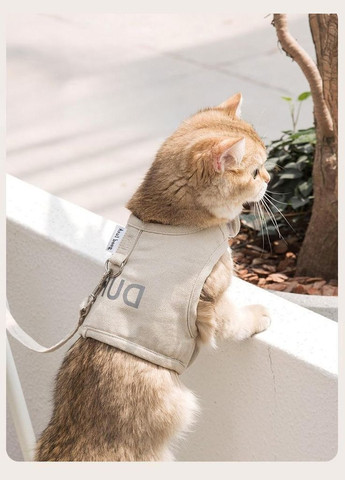 Шлея для котів і дрібних собак з повідцем, шлейка на липучках Бежевий S Duri (299915369)