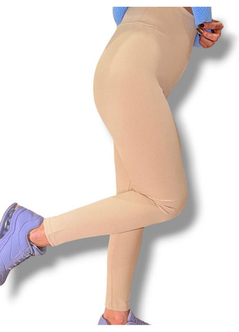 Лосины эластичные в рубчик женские с высоким широким поясом классические без утепления демисезон 99-101см No Brand Лосини в рубчик класичні без підкладки фуксія (342758752)