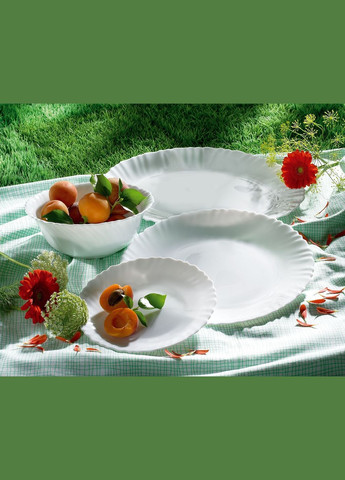 Тарелка обеденная FESTON (6190749) Luminarc (314748140)