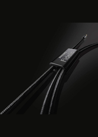 Навушники Audio Fidelio X2HR Philips (370159544)