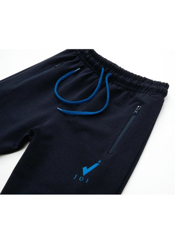 Темно-синие демисезонные брюки Joi