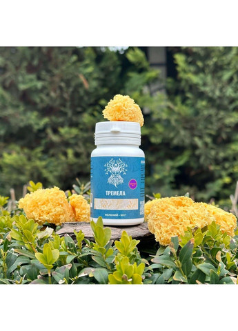 Гриб Тремела екстракт 101 капсули 60 шт Лісовик (364210605)