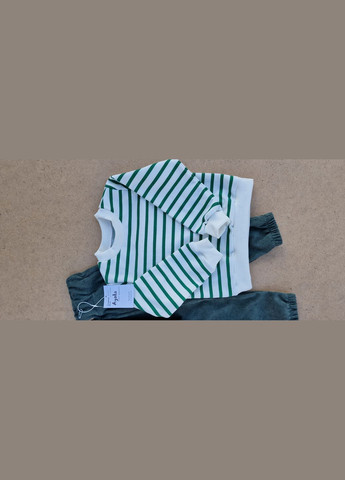 Зелений костюм мікровельвет двонитка No Brand