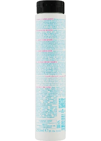Нормалізувальний шампунь для волосся Normalizing Shampoo 250ml (2-1016376) ING Professional (380585574)
