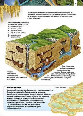 Дитяча енциклопедія Дива планети Земля (9789664663202) Пегас (316083331)