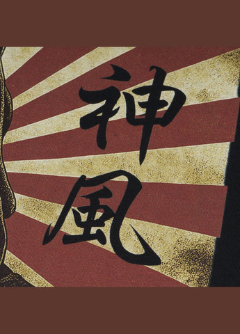 Футболка с изображением Камикадзе Combat Black P1G (344447104)