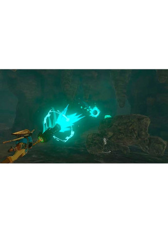 Игра The Legend of Zelda Tears of the Kingdom для Switch Nintendo (347175743)