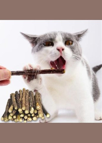Дерев'яні жувальні палички кішці для догляду за зубами і як іграшка коту в наборі з 5 шт No Brand (322594621)