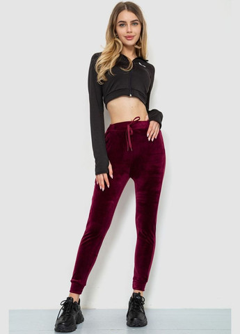 Спорт штани жіночі велюрові Ager 244R5571 (293850064)