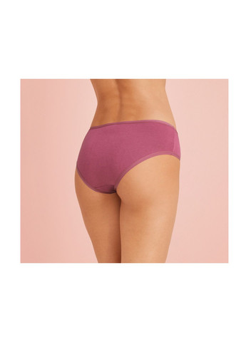 Трусики-хипстеры набор 3 шт. хлопковые для женщины LYCRA® 474529 Esmara С гигиенической ластовицей (345648163)