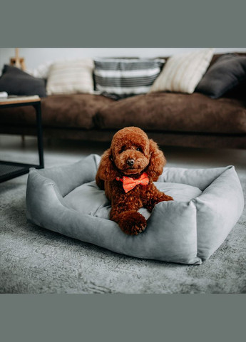 Лежак для собак Dominic 55 х 45 x 15 см Grey Rock (D2147/55) Noble Pet (363057845)