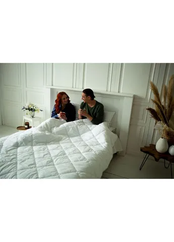 Ковдра антиалергенна Royal Eco-Soft 842 демі 140x205 см (2200000621436) Mirson антиалергенна Royal Eco-Soft 842 демі 140x205 см (379317888)