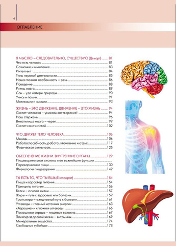 Анатомія та фізіологія. Великий популярний атлас. Габріель Біліч No Brand (366970294)